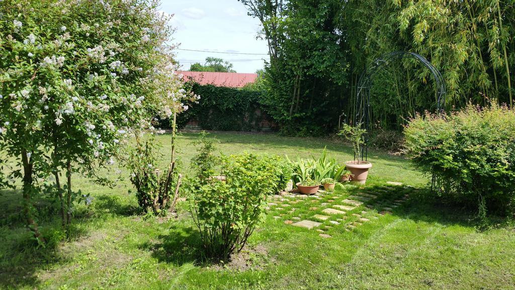 Le Gite De Laurence Villa Sainte-Liviere Exterior foto